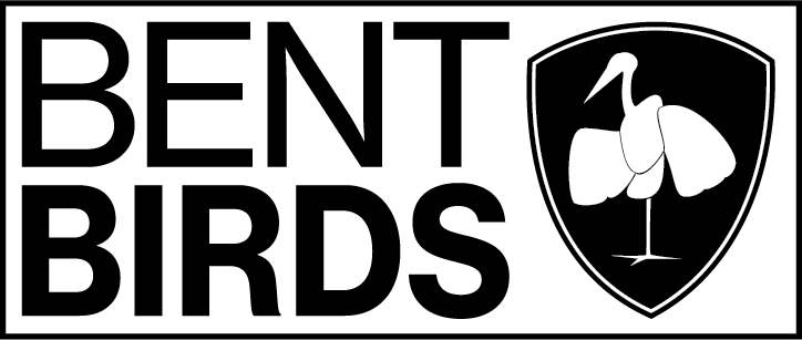Bentbirds Server Logo Large